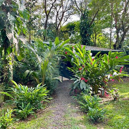 Industrial Studio With Private Jacuzzi Uvita Exterior foto